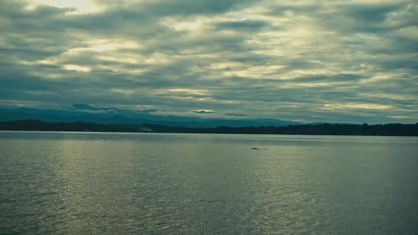 Calm ocean water as a dolphin performs a dive beneath a dark cloudy sky at sunset