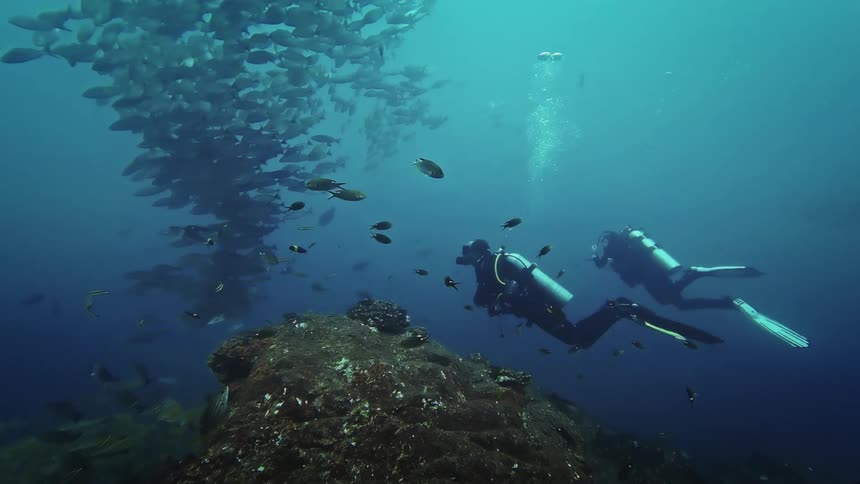 Two people scuba diving with fish outdoors