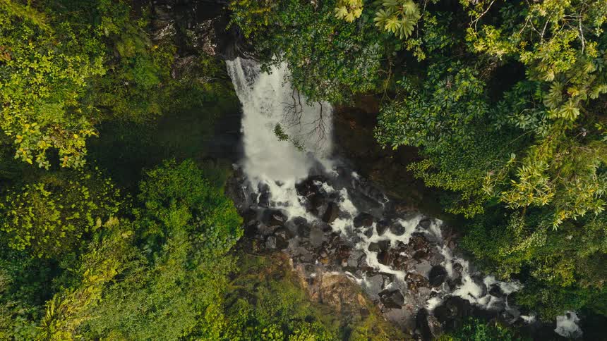 A topdown drone shot captures a powerful waterfall plunging into a rocky stream surrounded by dense tropical greenery as the camera slowly descends and moves forward the white water crashes over dark stones with lush trees framing the cascading flow