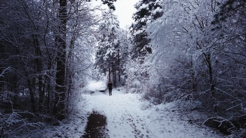 Person running along a snowcovered trail between trees