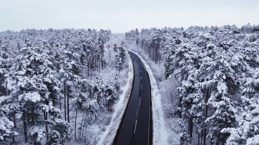 Road through a snow covered forest under a cloudy winter sky