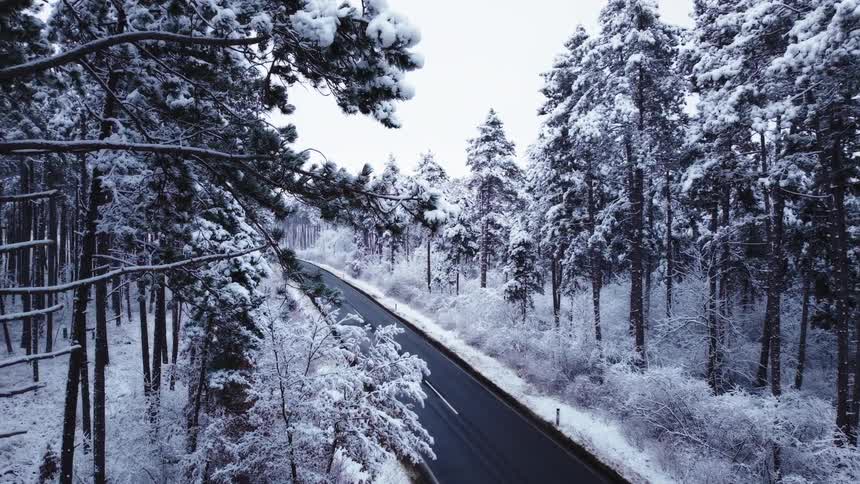 An aerial view of some snow in a forest