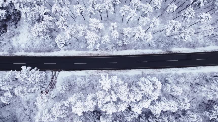 A straight black asphalt road cutting through a dense forest where every pine tree and the ground are completely covered in thick white snow