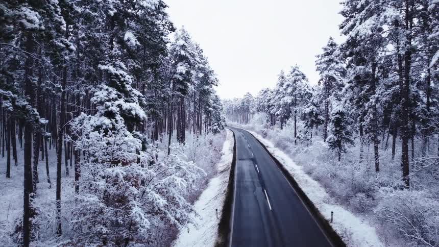 Car driving along a road surrounded by snowcovered forest