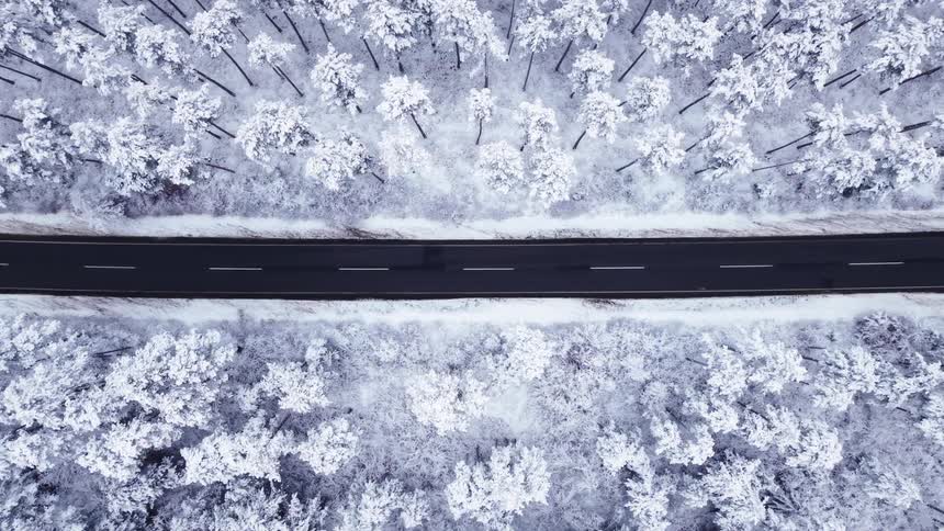 This aerial footage captures a striking overhead view of a dark straight road cutting through a dense forest blanketed in thick white snow the highcontrast shot emphasizes the symmetry of the landscape highlighting the stillness of the wintry wilderne