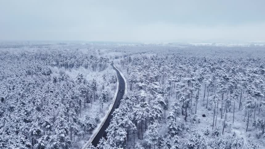 Road through a snow covered forest under a cloudy winter sky