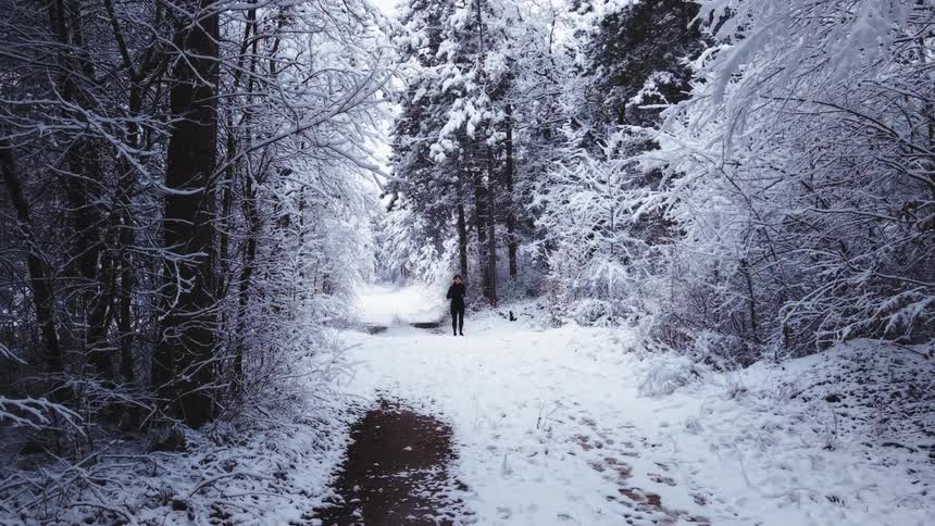A person wearing dark athletic gear runs toward the camera on a snow covered path through a dense forest where every tree branch is coated in white frost under a bright overcast sky