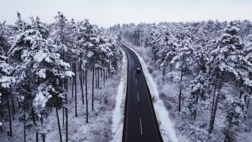 Car driving on a road surrounded by a forest of frozen trees covered in snow outdoors during day time