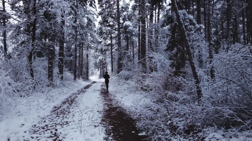 On a winter day in the woods a woman runs along a road path lined with snowcovered trees at midday
