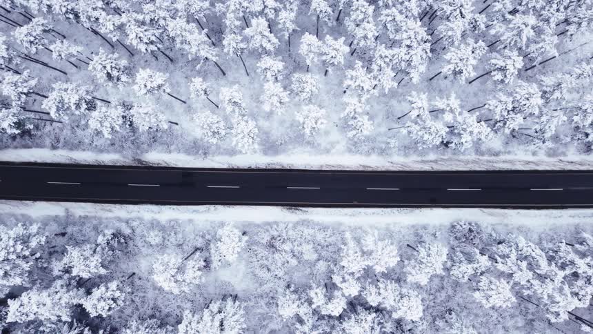 Clear road running through a snow covered forest