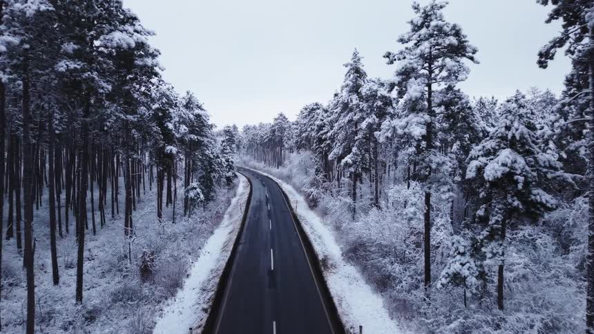 Empty road crossing a snowcovered forest under a cloudy sky