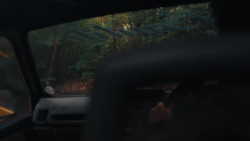 A person drives a car along a path in the woods with trees lining the forest road at midday