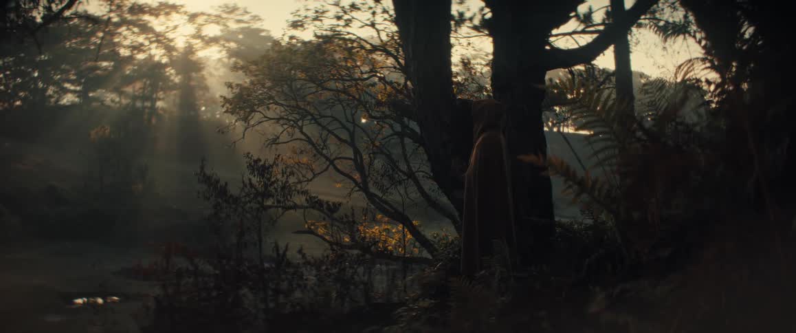 A cloaked figure stands in misty forest with golden sun rays filtering through the trees