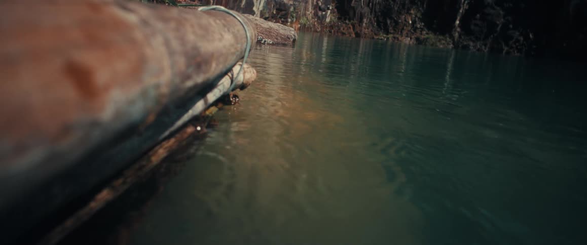 A wooden log floats on the surface of a lake at midday