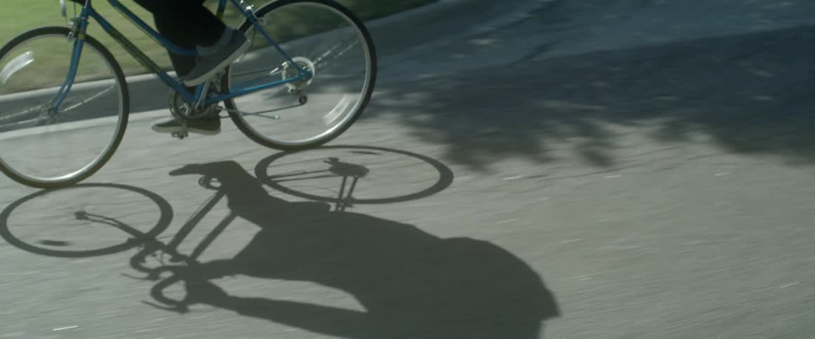 Person riding bicycle on street on sunny day
