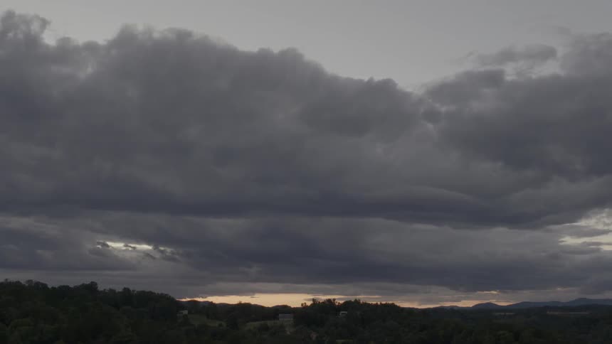 Heavy clouds pass over the trees