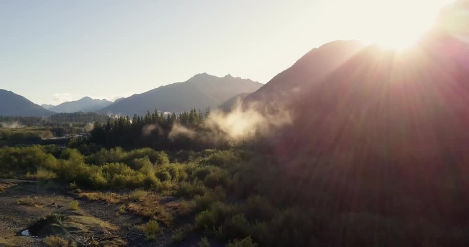 Mist rises from the forest in front of mountains