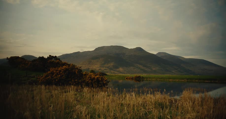 A large mountain overlooking a still pond and green fields under a cloudy sky while golden shrubs and tall dry grass sit in the foreground
