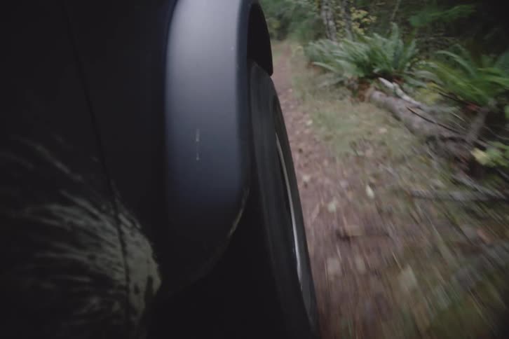 Car wheel passing along a forest trail