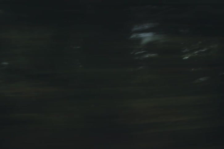 A very shaky view of a forest