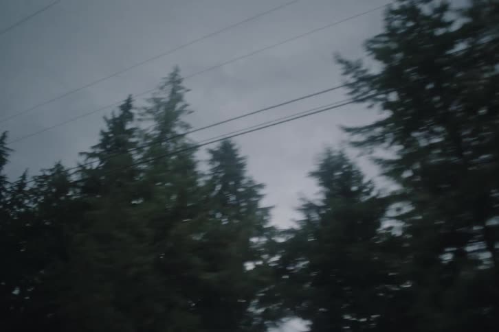View up through the trees against a cloudy sky