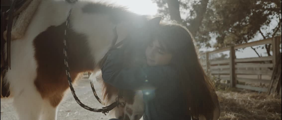 A young girl shares a tender moment with a brown and white horse in a sunlit rustic setting she gently strokes its face and pulls the horse into a warm affectionate hug as the light flares behind them