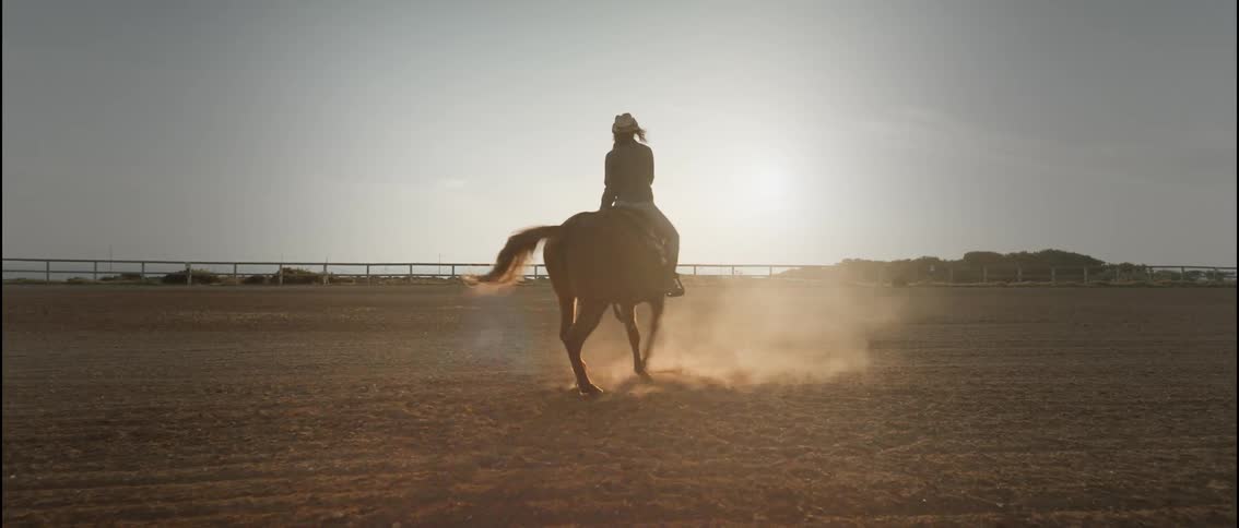 A woman riding a horse on a sunny day