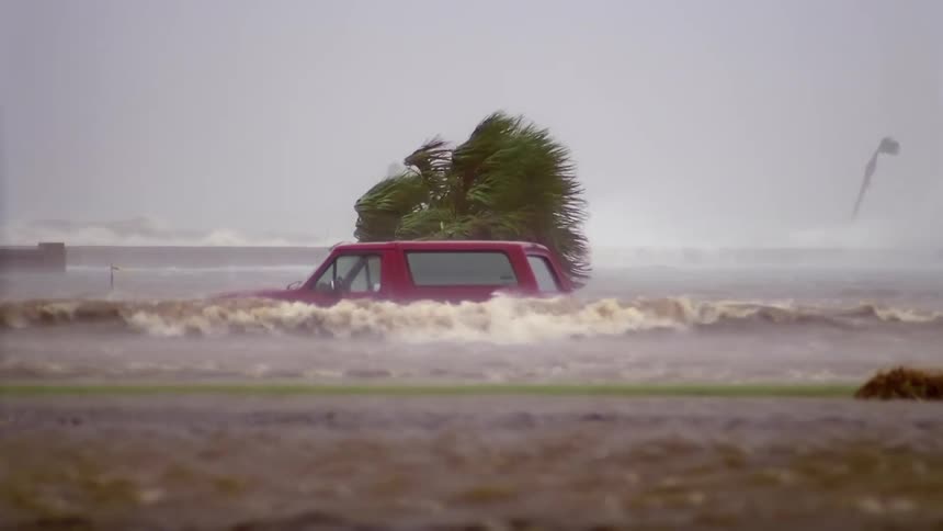 Red vehicle partially submerged in floodwaters with a palm tree bent by wind in the background
