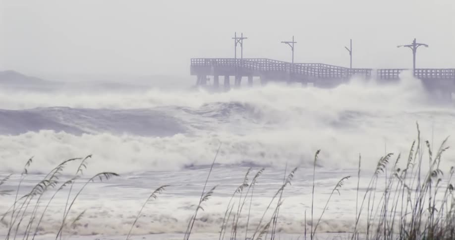 The video shows a pier standing amidst powerful crashing waves during a stormtall sea oats in the foreground sway violently in the wind as the ocean surges toward the shore