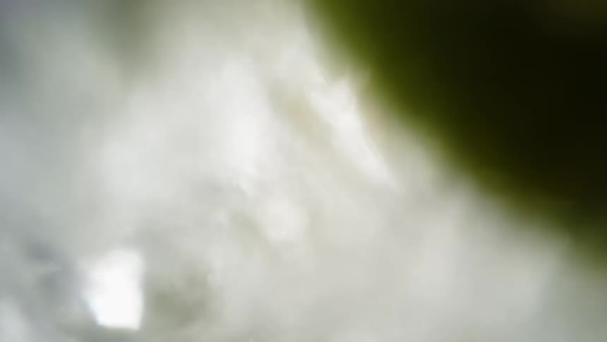 A close view from inside a glass as fresh lime slices and ice cubes are tossed into splashing clear water with bubbles and bright reflections
