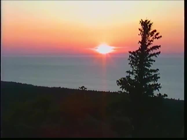 The orange setting sun is seen over a mountainous coastline with a lone tree in view