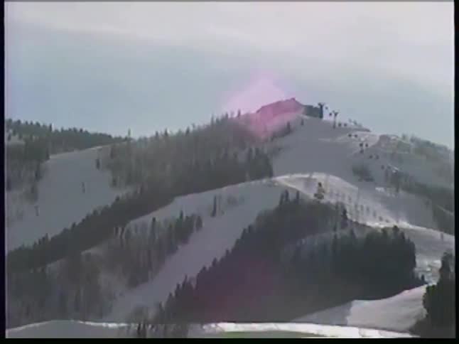 Mountain range covered in trees and snow outdoors during day time