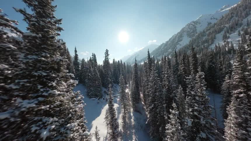 Forest in a valley surrounded by mountains and covered in snow outdoors during day time