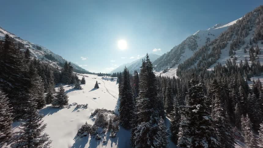 Snowcovered pine forest with mountains in the background and sun in clear sky