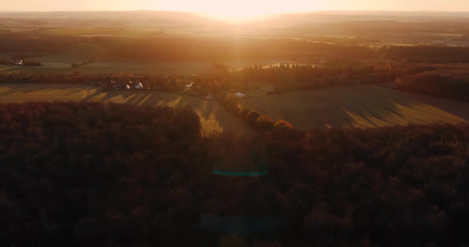 An aerial view of fields