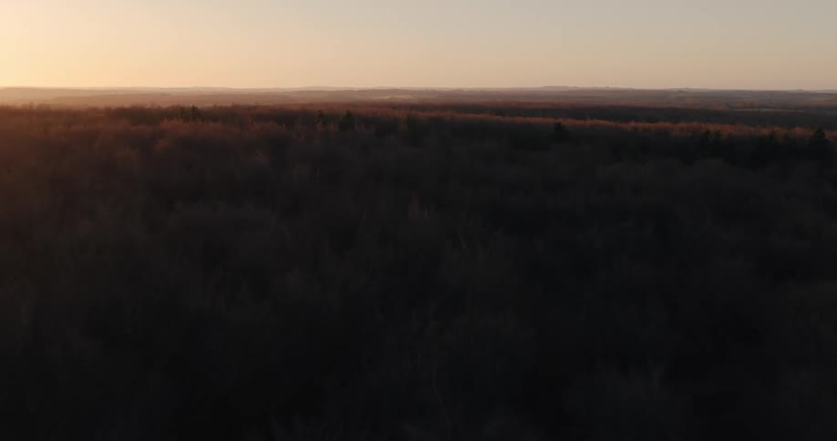 Sunlight shines from a red sky onto the coastal forest