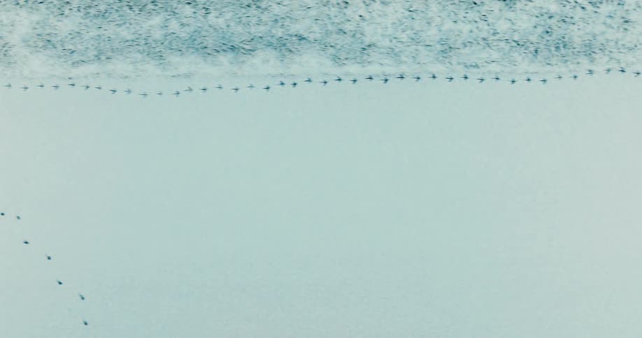 A snowcovered area in the arctic at midday