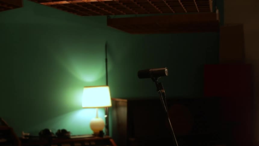 The microphone is on a stand in the room