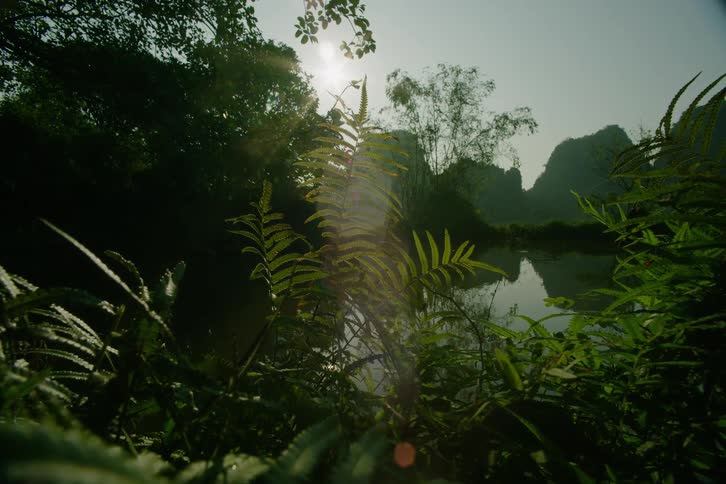 Body of water surrounded by dense vegetation outdoors during day time
