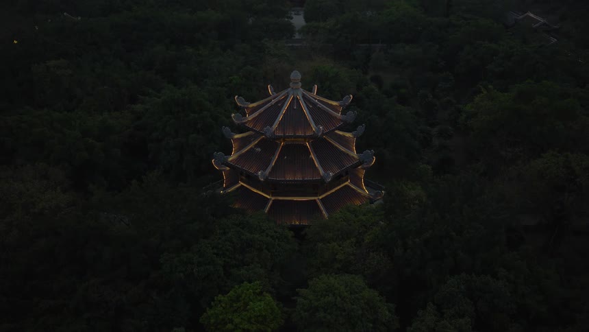 The temple is in the middle of the woods