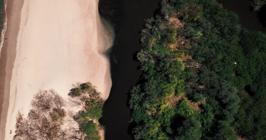 A top view shows a dark river flowing between a sandy beach and a dense green forest with sunlight reflecting on the ripples of the water