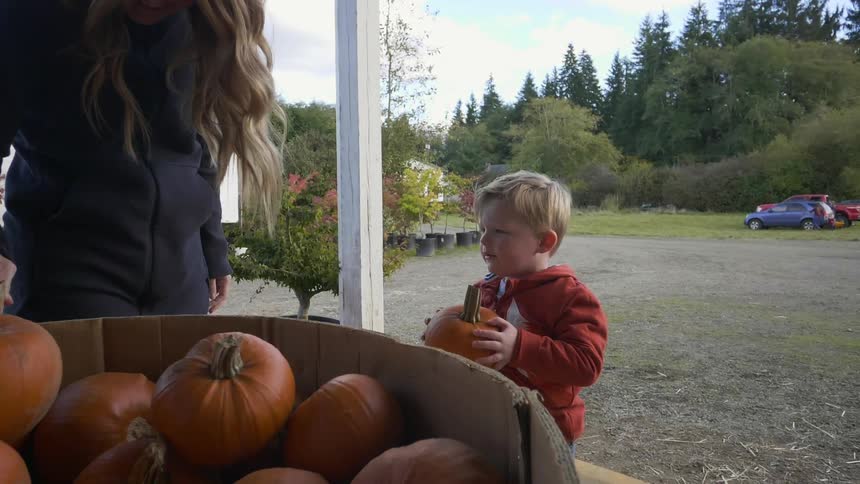 A woman and boy put pumpkins into a bin