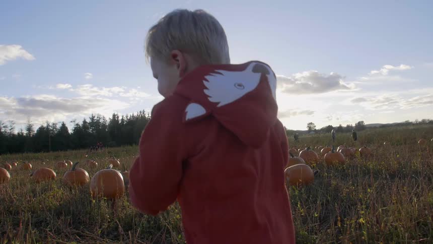 Child running through a pumpkin patch