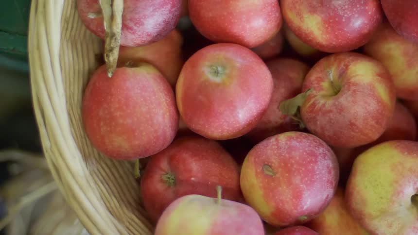 Basket full of apples