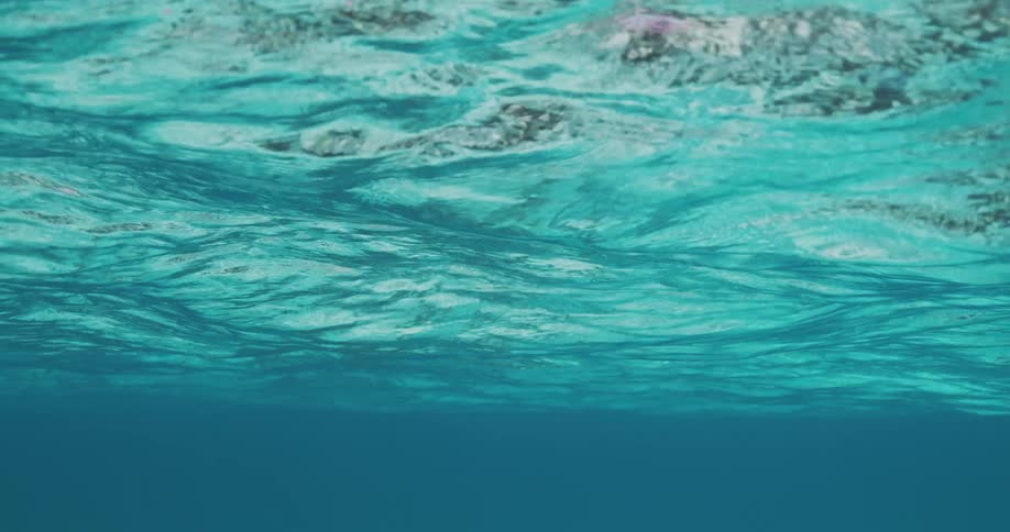 Waves passing overhead allow glimpses past the surface of the ocean during the daytime