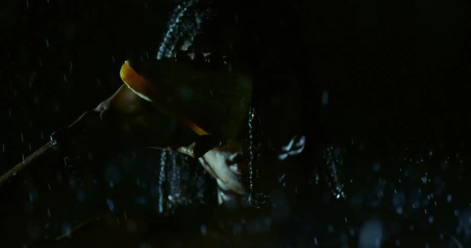 Man with braids holds a seashell near his face while water runs over him against a dark background