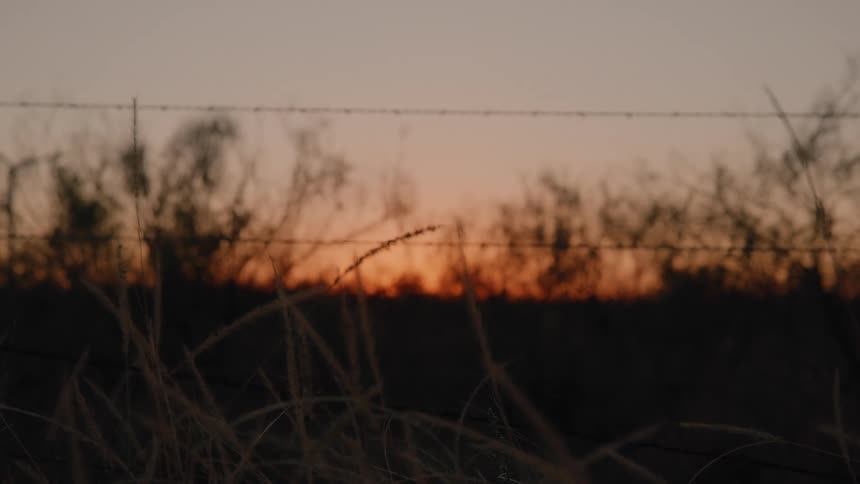 The barb wire blocks the green field