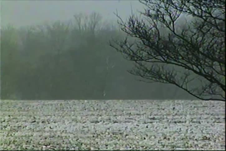 Heavy static and visual noise continuously distort an old recording of a wide snowcovered field and a distant line of bare trees completely obscured by thick winter fog before shifting left across the frozen landscape
