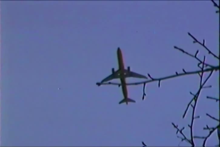 Filmed in the style of a vintage home movie the camera tilts upward to track a commercial airplane as it glides steadily through a deep purple twilight sky its dark silhouette framed by the intricate patterns of bare tree branches