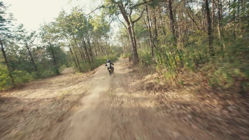 A person wearing a helmet and racing gear rides a yellow dirt bike along a winding path through a forest of thin trees during a sunny day in a following view